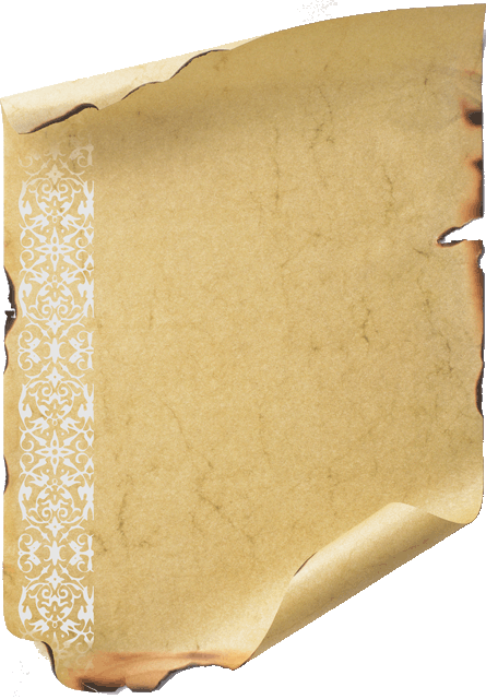 Guestbook, gatto Sacro di Birmania